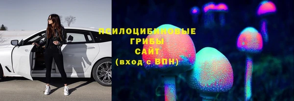 трава Нефтекумск