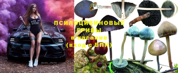 прущая мука Нефтегорск