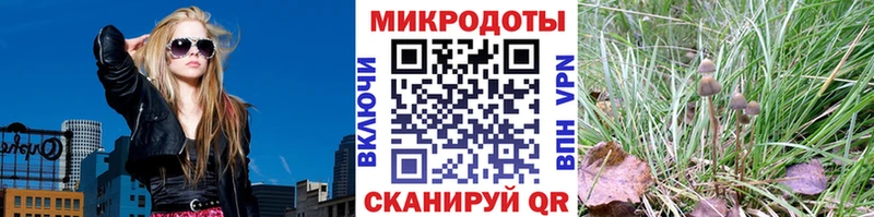 Купить где  Ивантеевка  Галлюциногенные грибы мухоморы 